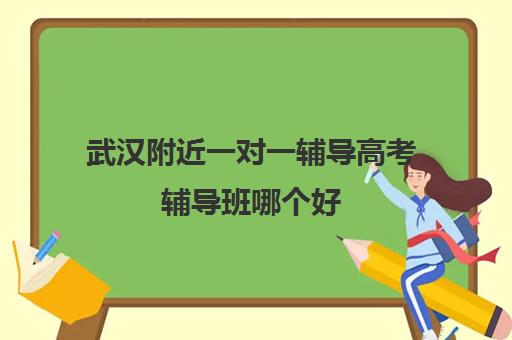 武汉附近一对一辅导高考辅导班哪个好(武汉一对一数学上门家教)