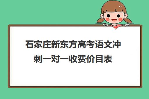 石家庄新东方高考语文冲刺一对一收费价目表(一对一家教价格300)