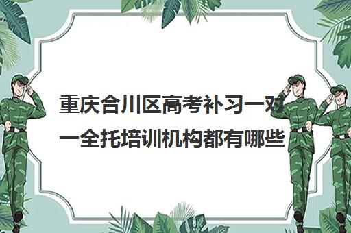 重庆合川区高考补习一对一全托培训机构都有哪些