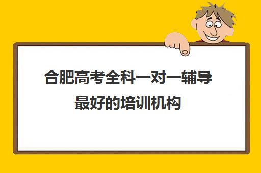 合肥高考全科一对一辅导最好的培训机构(一对一辅导机构哪个好)