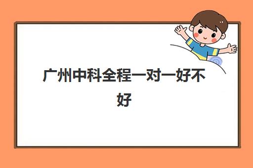 广州中科全程一对一好不好(掌门一对一的口碑怎样)