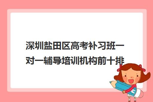 深圳盐田区高考补习班一对一辅导培训机构前十排名