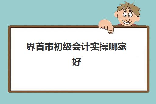 界首市初级会计实操哪家好(初级会计免费全教程)