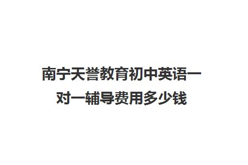 南宁天誉教育初中英语一对一辅导费用多少钱(正规的初中补课机构)