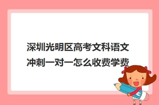 深圳光明区高考文科语文冲刺一对一怎么收费学费多少钱(新东方一对一收费价格表)