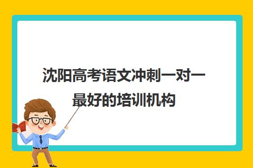 沈阳高考语文冲刺一对一最好的培训机构(沈阳高中补课机构排行榜)