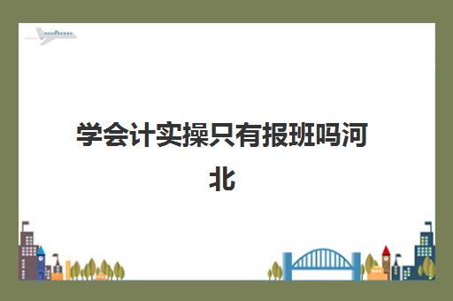 学会计实操只有报班吗河北(初级会计报班还是自学)