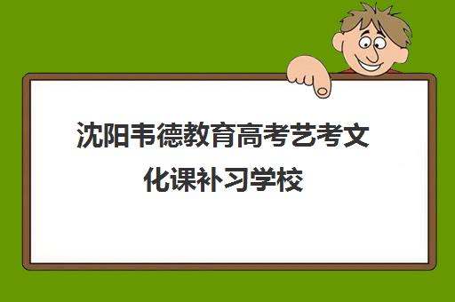 沈阳韦德教育高考艺考文化课补习学校