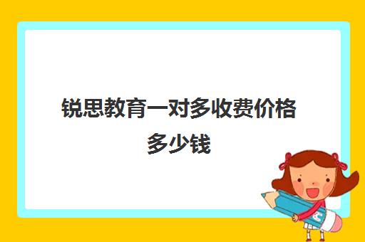 锐思教育一对多收费价格多少钱（名思教育一对一价格表）