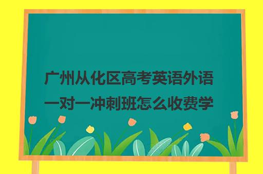 广州从化区高考英语外语一对一冲刺班怎么收费学费多少钱(广州从化高中哪所最好)