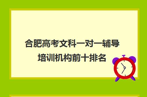 合肥高考文科一对一辅导培训机构前十排名(小托福一对一培训机构)