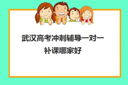 武汉高考冲刺辅导一对一补课哪家好(武汉一对一家教收费标准)