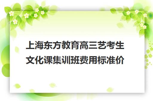 上海东方教育高三艺考生文化课集训班费用标准价格表(高三艺考集训费用多少)