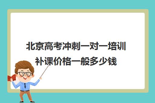 北京高考冲刺一对一培训补课价格一般多少钱(高一一对一补课有用吗)