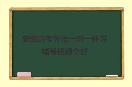 安阳高考外语一对一补习辅导班哪个好