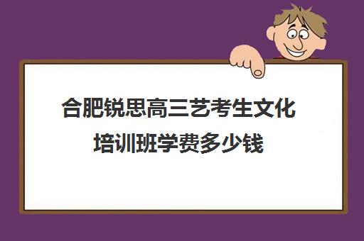 合肥锐思高三艺考生文化培训班学费多少钱(北京三大艺考培训机构)