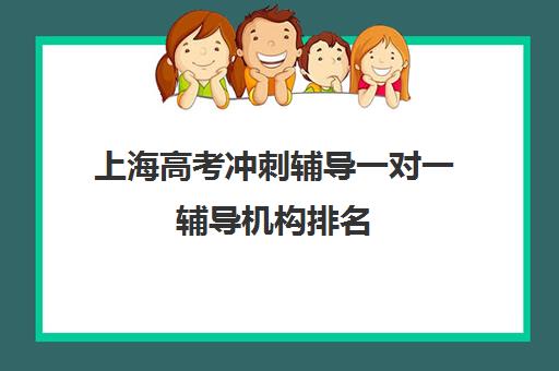 上海高考冲刺辅导一对一辅导机构排名(高考一对一辅导班)