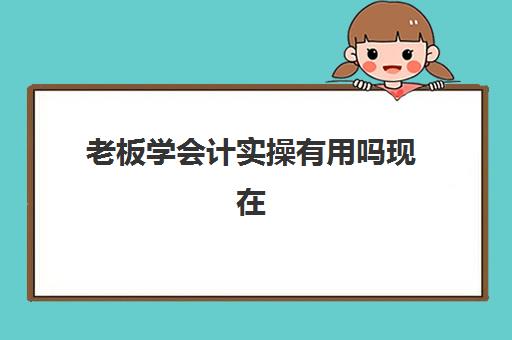 老板学会计实操有用吗现在(没学过会计直接工作难吗)