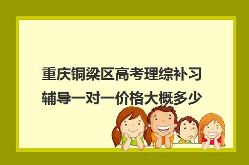 重庆铜梁区高考理综补习辅导一对一价格大概多少钱