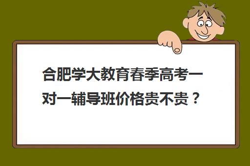 合肥学大教育春季高考一对一辅导班价格贵不贵？多少钱一年(合肥比较出名辅导班)