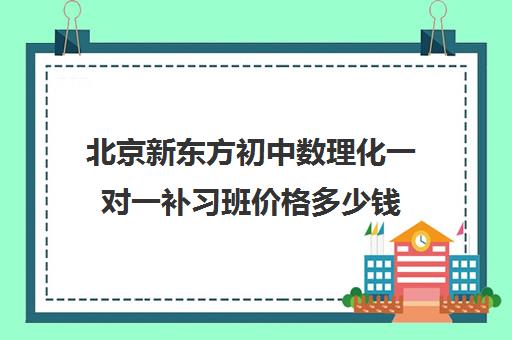 北京新东方初中数理化一对一补习班价格多少钱