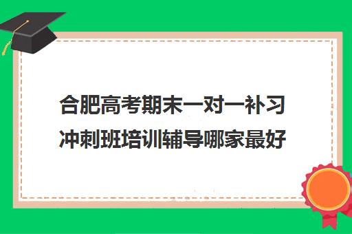 合肥高考期末一对一补习冲刺班培训辅导哪家最好