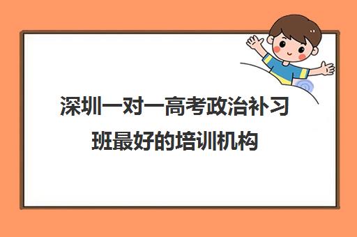 深圳一对一高考政治补习班最好的培训机构