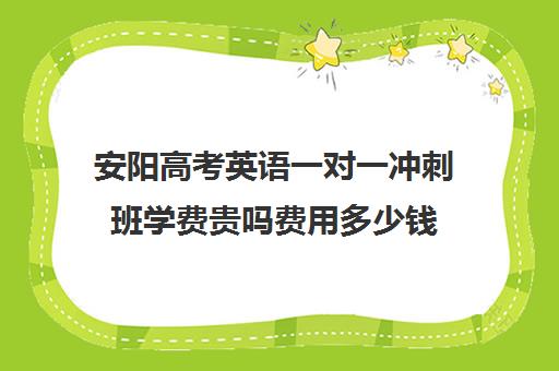 安阳高考英语一对一冲刺班学费贵吗费用多少钱(高三英语一对一补课有用吗)