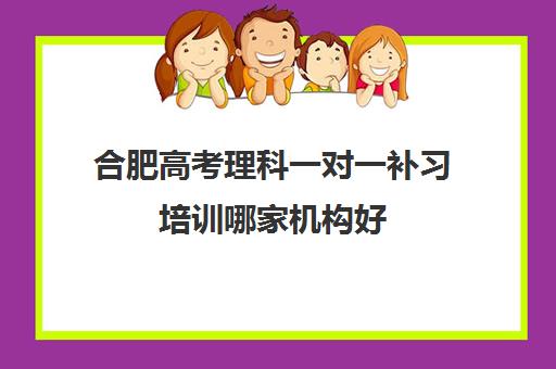 合肥高考理科一对一补习培训哪家机构好