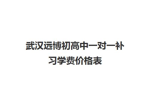 武汉远博初高中一对一补习学费价格表