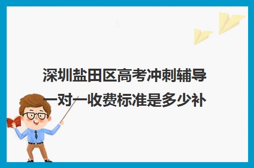 深圳盐田区高考冲刺辅导一对一收费标准是多少补课多少钱一小时(深圳补课一对一价格)