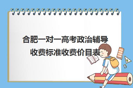 合肥一对一高考政治辅导收费标准收费价目表(合肥比较出名高中辅导班)