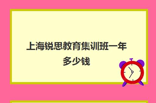 上海锐思教育集训班一年多少钱（上海排名前十的培训机构）