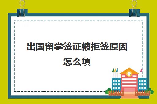 出国留学签证被拒签原因怎么填(美国留学签证拒签4次)