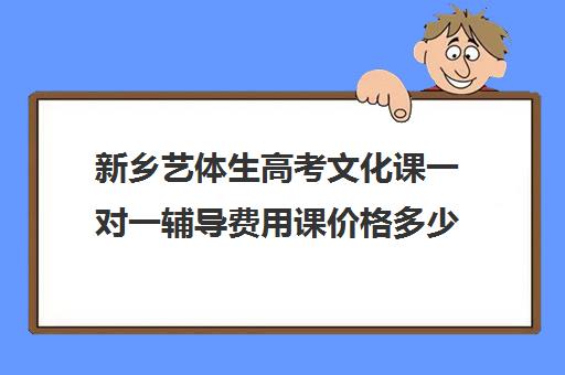 新乡艺体生高考文化课一对一辅导费用课价格多少钱(新乡补课一对一多少钱)