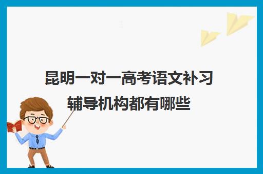 昆明一对一高考语文补习辅导机构都有哪些