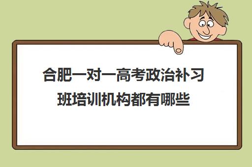 合肥一对一高考政治补习班培训机构都有哪些