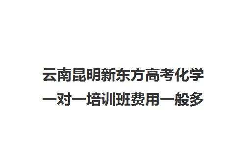 云南昆明新东方高考化学一对一培训班费用一般多少钱(昆明一对一辅导价格表)