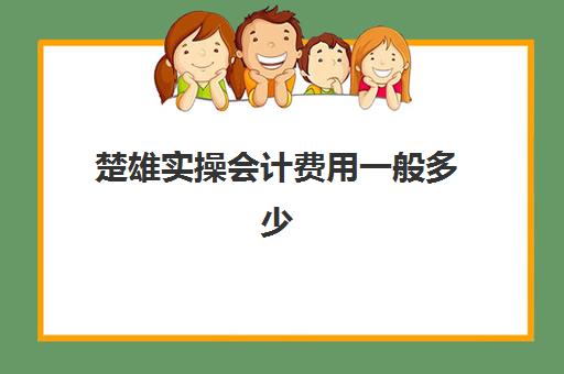 楚雄实操会计费用一般多少(请会计做账一般多少钱)