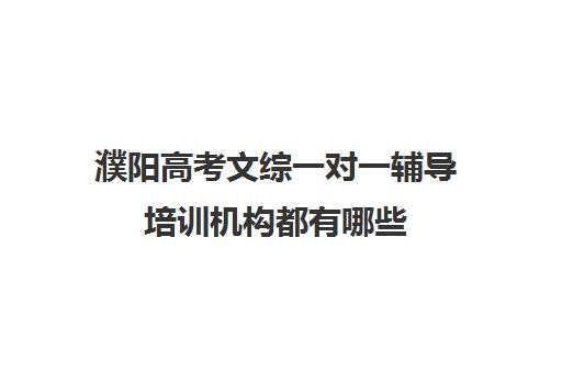 濮阳高考文综一对一辅导培训机构都有哪些(新东方高考冲刺班怎么样)