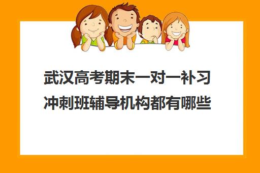 武汉高考期末一对一补习冲刺班辅导机构都有哪些