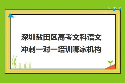 深圳盐田区高考文科语文冲刺一对一培训哪家机构好(深圳高中补课机构排名)