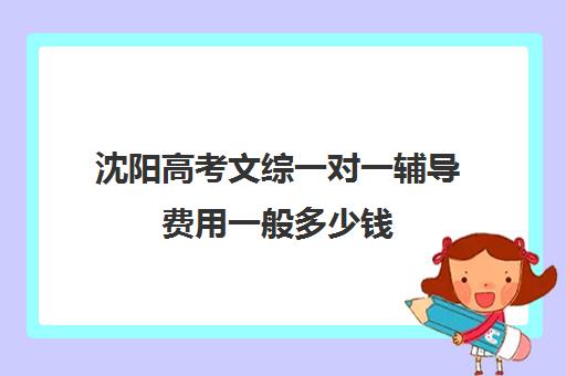 沈阳高考文综一对一辅导费用一般多少钱(高考一对一辅导多少钱一小时)