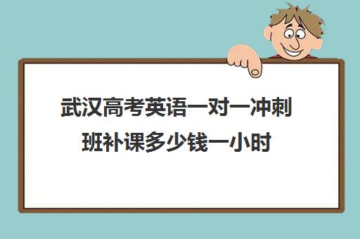 武汉高考英语一对一冲刺班补课多少钱一小时(武汉高中一对一辅导机构哪家好)