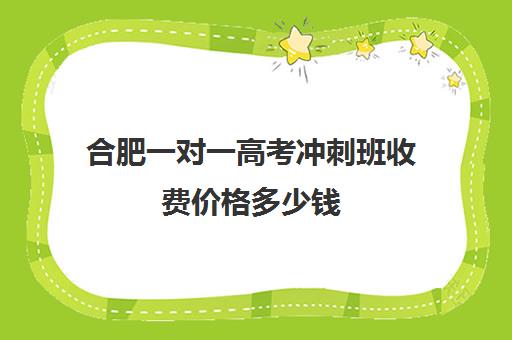 合肥一对一高考冲刺班收费价格多少钱(合肥高考冲刺全托学校)