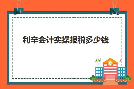 利辛会计实操报税多少钱(劳务费可以开13%税率吗)