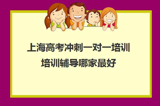 上海高考冲刺一对一培训培训辅导哪家最好(高三一对一辅导价格表)