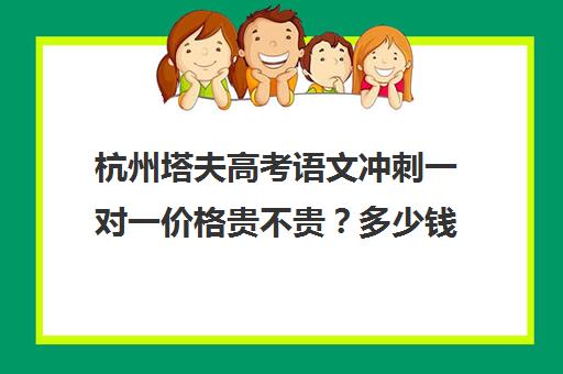 杭州塔夫高考语文冲刺一对一价格贵不贵？多少钱一年(杭州最好的补课机构)