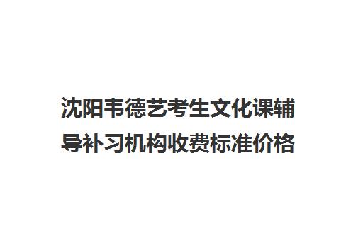 沈阳韦德艺考生文化课辅导补习机构收费标准价格一览