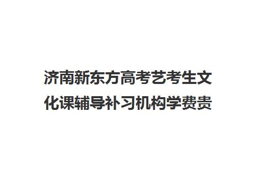 济南新东方高考艺考生文化课辅导补习机构学费贵吗